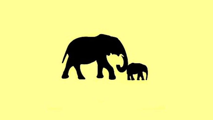 nudge-elefantes-ajuda-lideranca-848x477.jpg